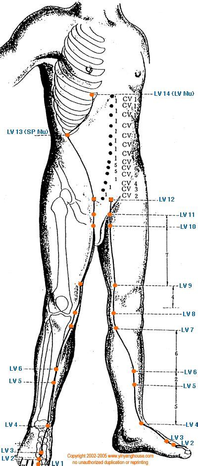 10 lv|liver 10 acupuncture point.